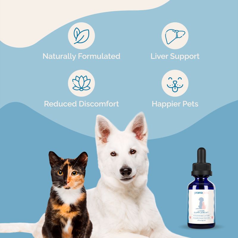 Vitamins for dogs deals with liver disease