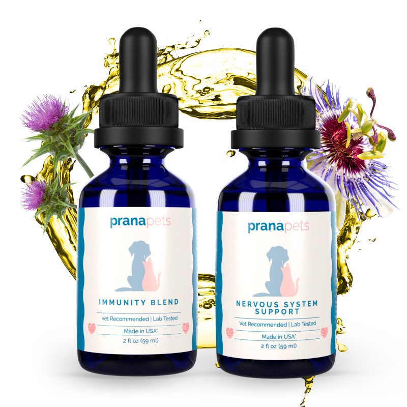 View of Cat Supplements for Nervous System & Brain Health - Prana Pets