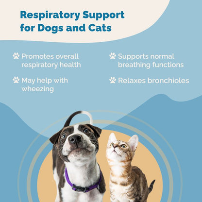 The Easy Breathing Symptom Pack