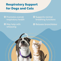 Thumbnail for Respiratory and Sinus Immunity Regimen