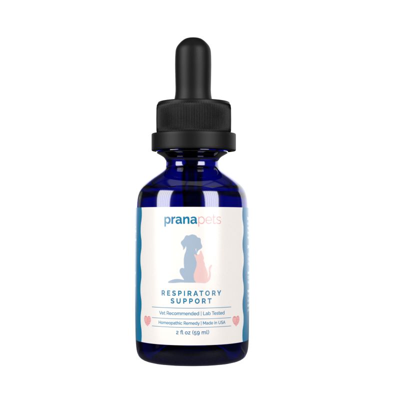 Respiratory Support for Cats