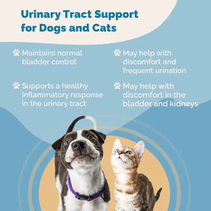 Urinary Immunity Regimen
