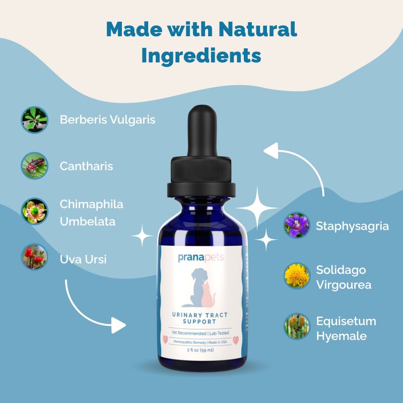 Urinary Tract Support for Dogs