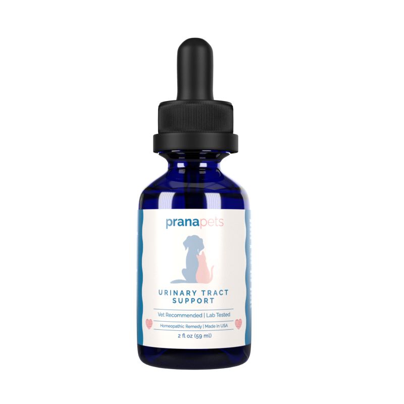 Homeopathic remedies for uti in dogs deals
